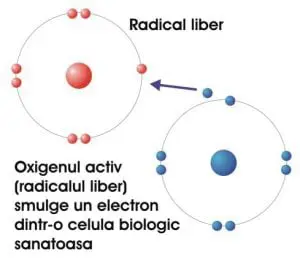 Efectul radicalilor liberi